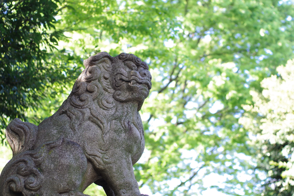 狛犬_新井天神北野神社