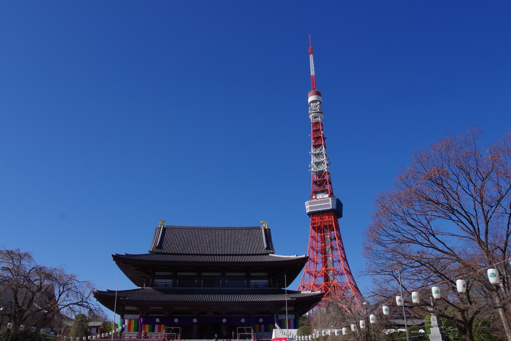 増上寺と東京タワー