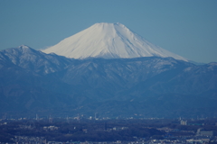 富士山_都庁展望台