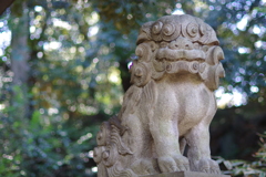 狛犬_赤坂氷川神社