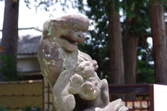 子育て狛犬_沼袋氷川神社