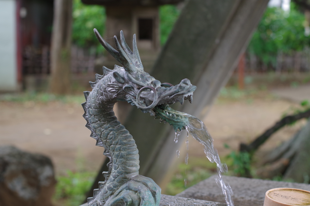 手水舎_龍_新井天神北野神社