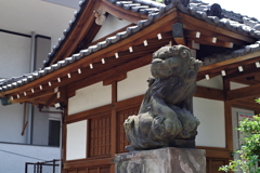 狛犬_目黒大鳥神社