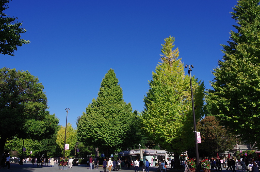 上野恩賜公園