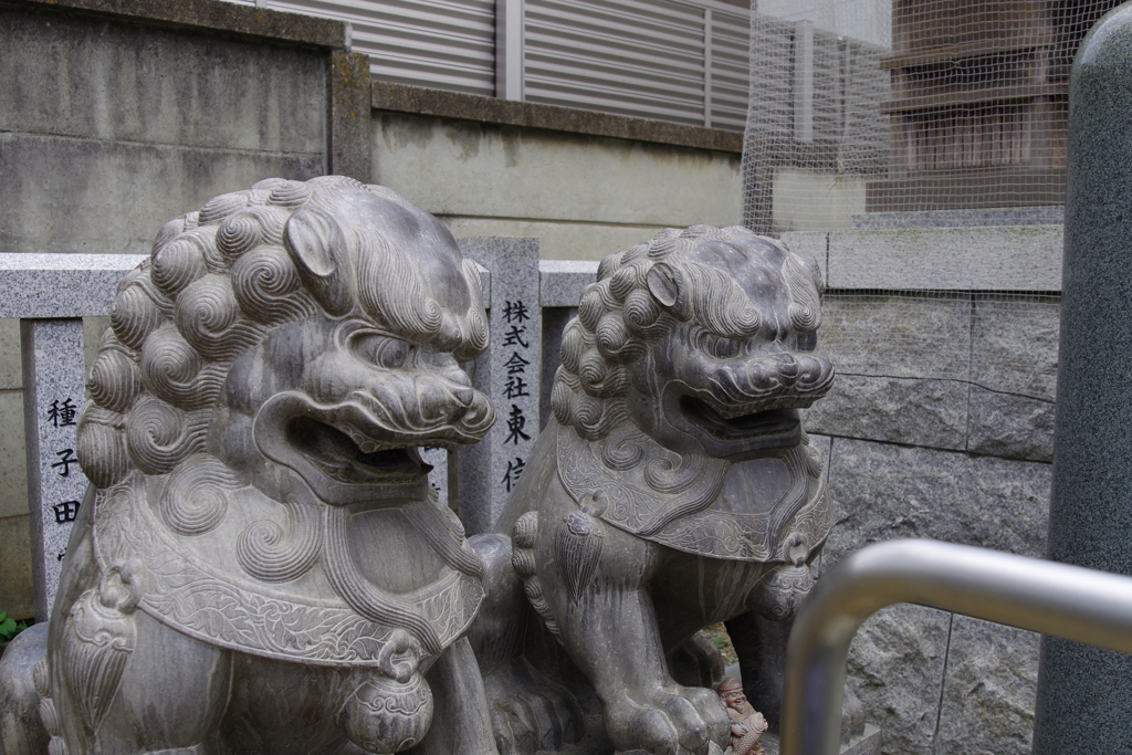 狛犬_荻窪白山神社