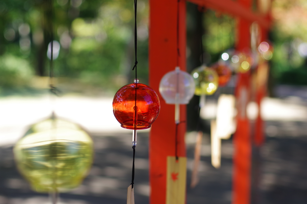 風鈴_昭和記念公園