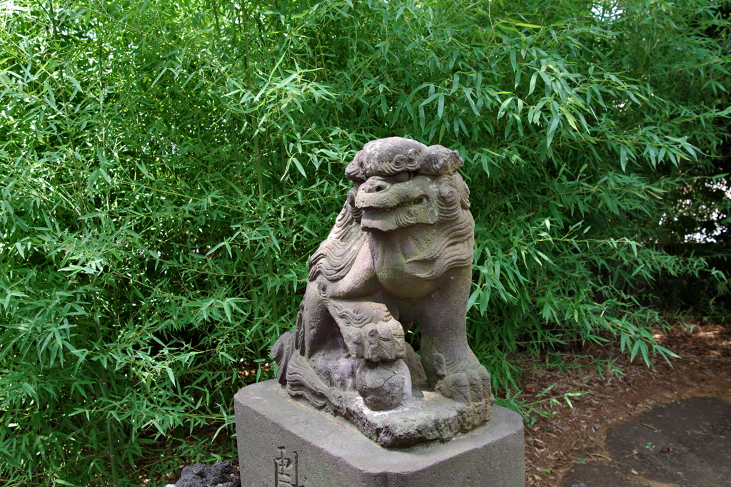 狛犬_柴又八幡神社