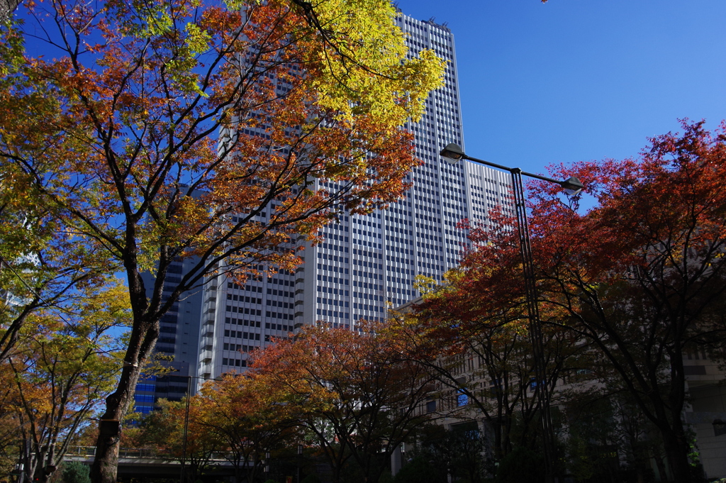 西新宿