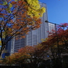西新宿