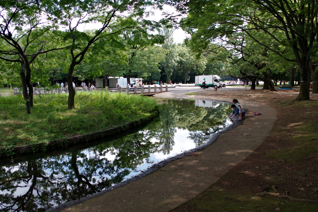 岸辺の風景_代々木公園