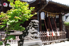狛犬_新井天神北野神社