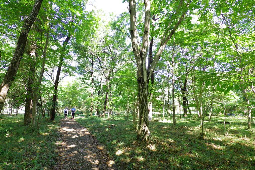 二の丸庭園_皇居東御苑