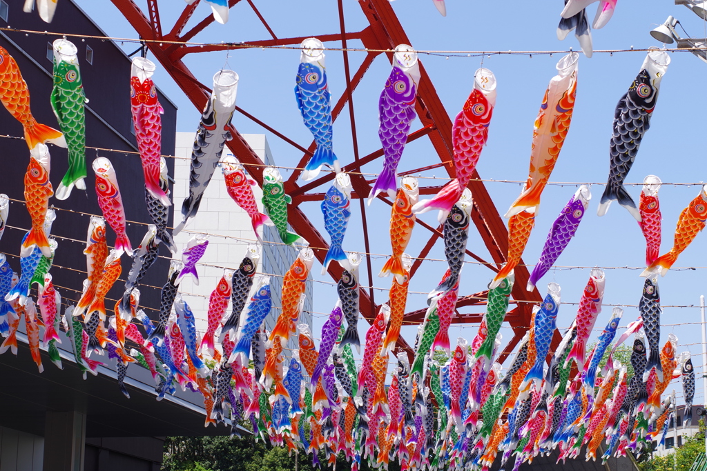 東京タワーと鯉幟