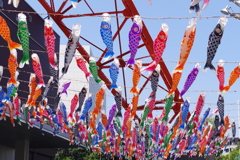 東京タワーと鯉幟