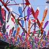 東京タワーと鯉幟