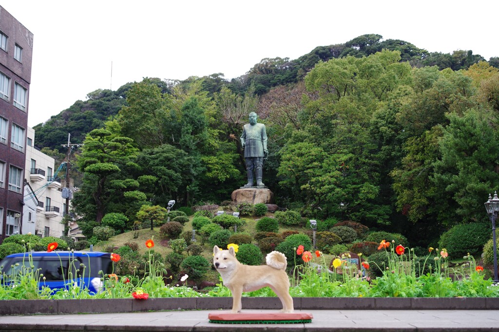 西郷どんと犬
