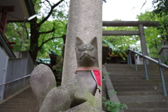 稲荷様の狐_王子稲荷神社