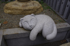 眠り猫_荻窪白山神社