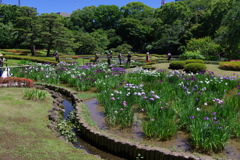 二の丸庭園_皇居東御苑