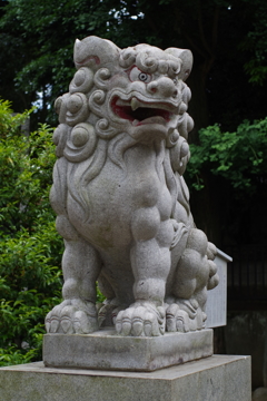 狛犬_氷川神社(中野)