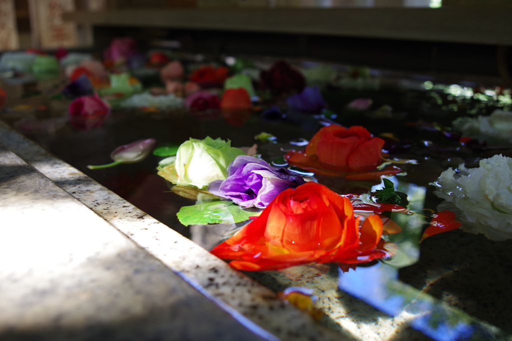 花手水_神明氷川神社
