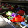 花手水_神明氷川神社