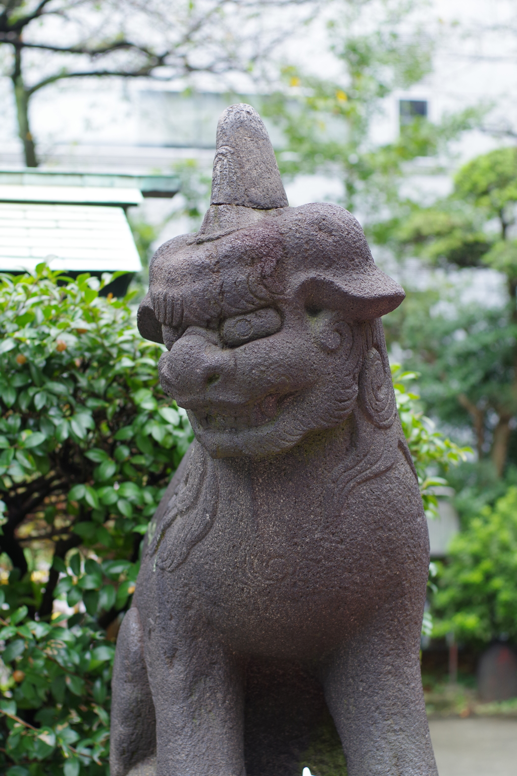 狛犬_芝大神宮
