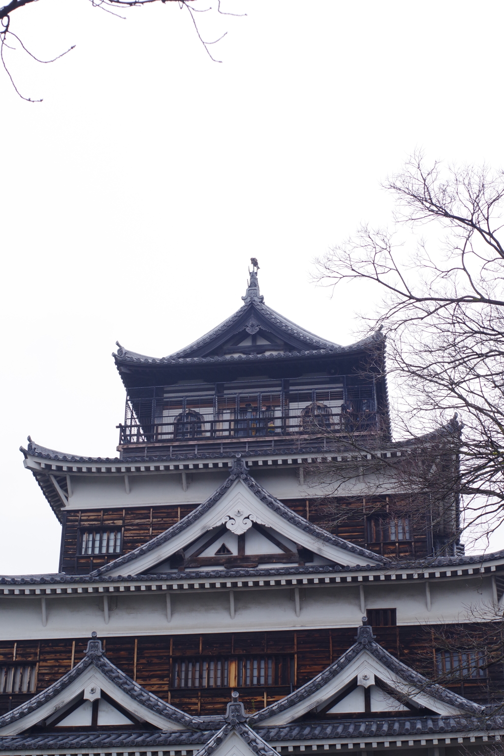 天守閣に鳶_広島城
