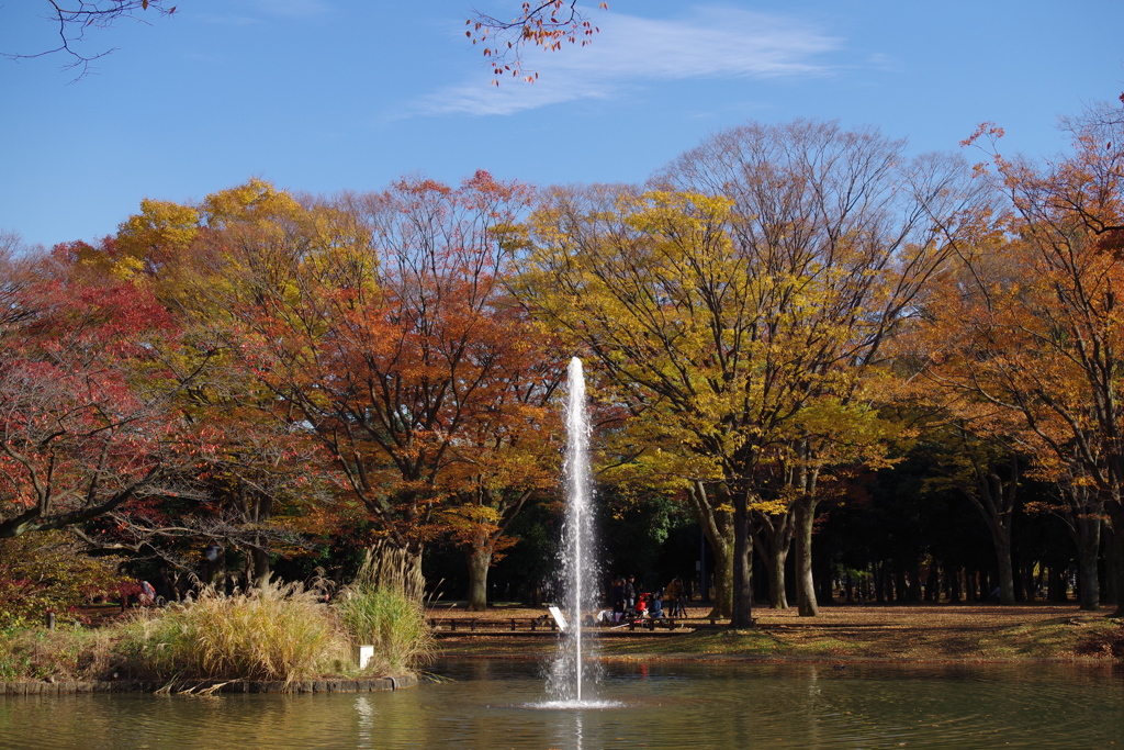 噴水_代々木公園