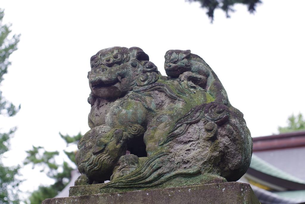 狛犬_天沼八幡神社