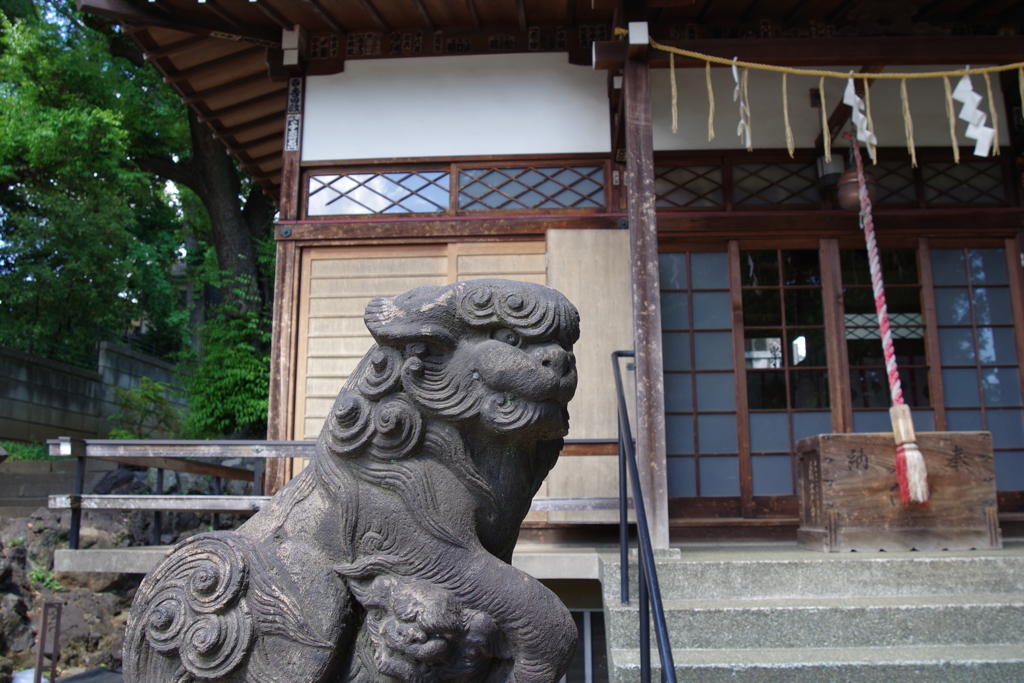 狛犬_上田端八幡神社