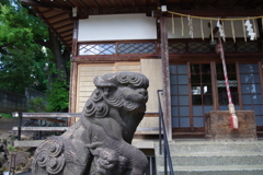 狛犬_上田端八幡神社