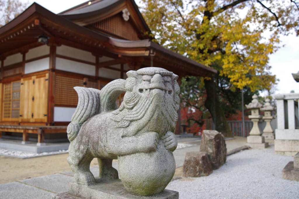 狛犬_阿智神社