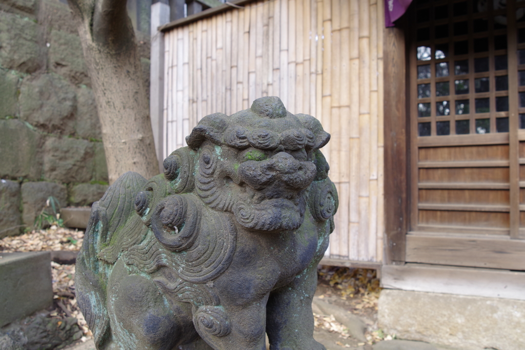 狛犬_諏方神社