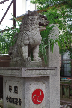狛犬_須賀神社(四谷)