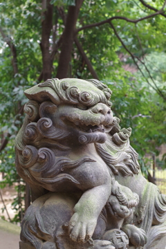 狛犬_渋谷氷川神社