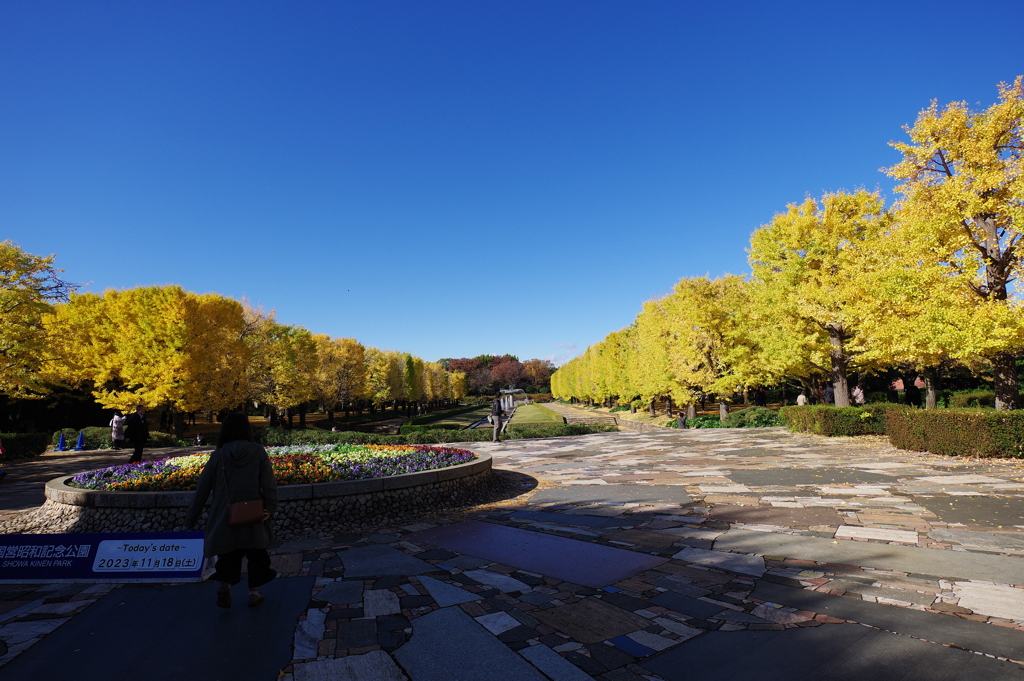 昭和記念公園