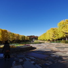 昭和記念公園