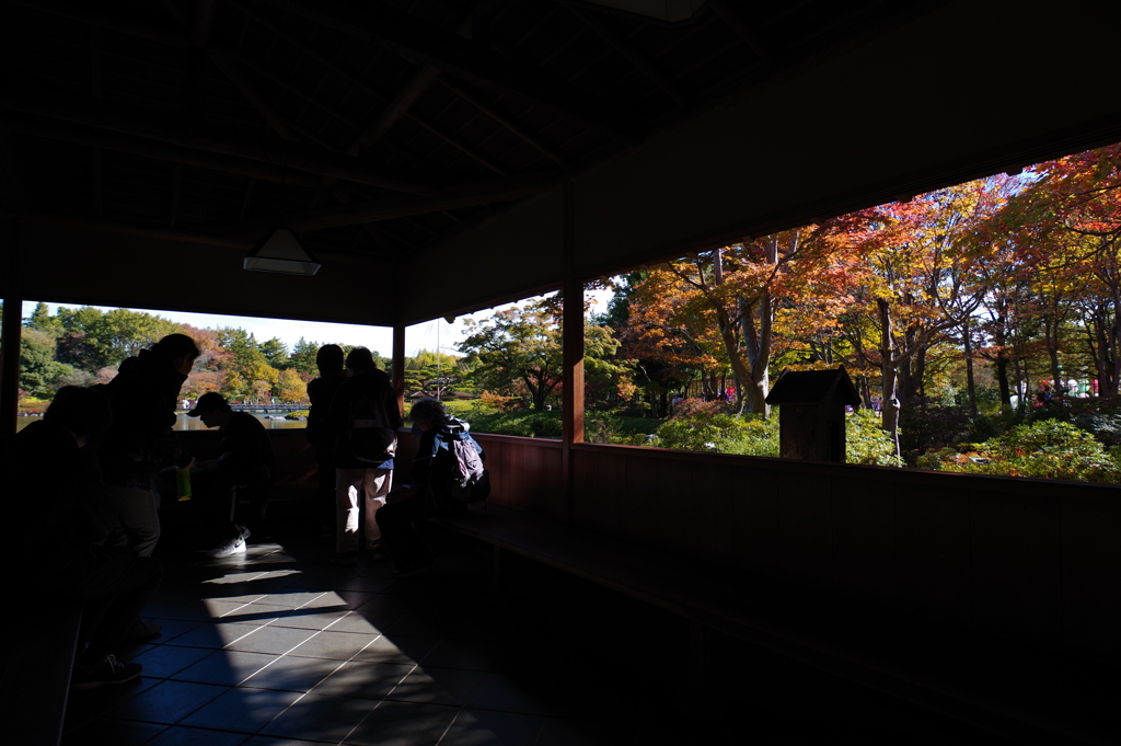 日本庭園_昭和記念公園