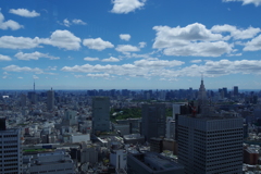 東を望む_都庁展望台