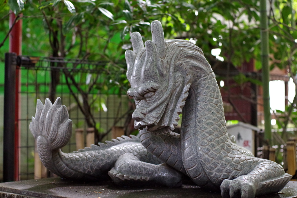 白竜_田無神社