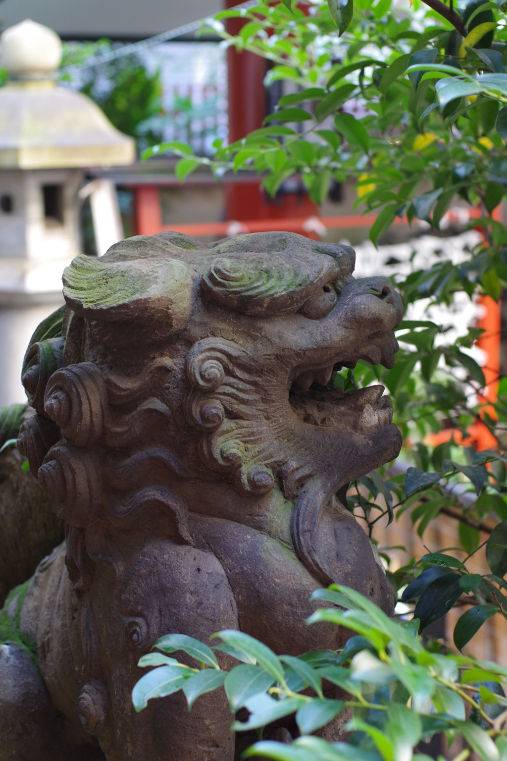 狛犬_三崎稲荷神社