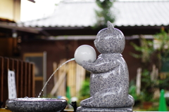 手水舎_猫_荻窪白山神社