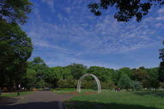 代々木公園