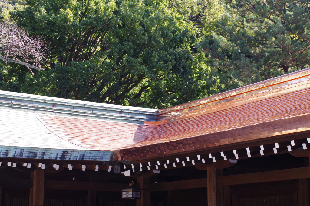 屋根の葺き替え_明治神宮