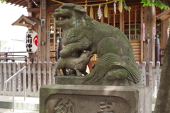 狛犬_本郷氷川神社