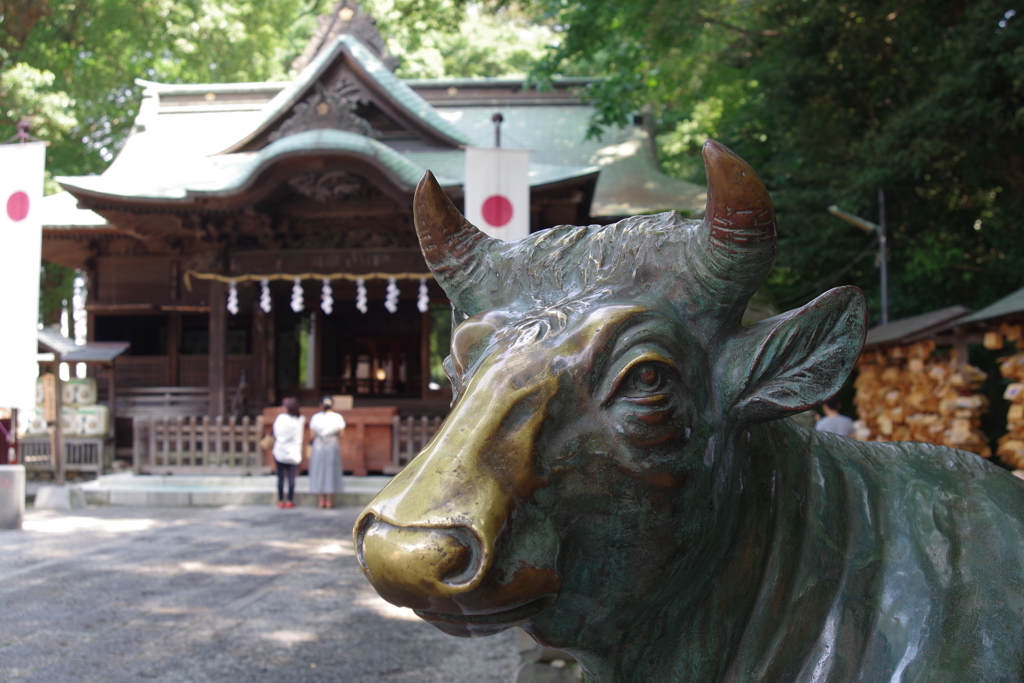 天神様の撫で牛_谷保天満宮