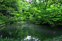池_六義園