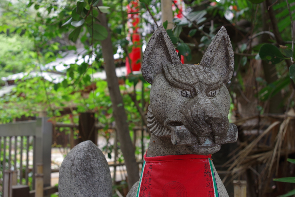 稲荷様の狐_王子稲荷神社