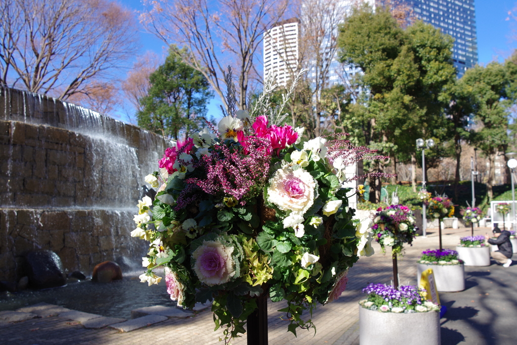 花吊り鉢_新宿中央公園